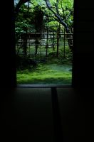 松風園福岡市松風園は昭和20年代に建設されたお茶室を有する日本庭園です。かつての福岡を代表する百貨店である「福岡玉屋」の創業者田中丸善八翁の邸宅「松風荘」の跡地を整備後、平成19年度に福岡市平尾に開園し、一般利用できるようにしました。また、「松風園」の由来である田中丸家が愛用した茶室「松風庵」は、当時の状態で保存されています。正門から受付まで伸びる石積み階段を登りきると、駿河湾と富士山をイメージした美しい日本庭園が広がります。樹齢100年をこえるイロハモミジをはじめ、織部灯籠や春日灯籠、四ツ腰掛け（卍字亭）を写した四阿（あずまや）が配され、四季折々の日本の美しさを体感できます。また当園にしかないと言われている棗（なつめ）灯籠があります。これは茶道をこよなく愛した田中丸氏が茶道具である棗をイメージして作らせたもので非常に珍しいものです。「松風庵」は京都から資材や数奇屋師を集め、その意匠や技術の粋を遺憾なく発揮した本格的な茶室です。障子を開けると美しく開放的な日本庭園を望むことができます。茶室は「松風庵」（小間）と広間、新館に和室8畳２間があります。庭園には露地と野点広場、あずまやや腰掛待合、蹲踞（つくばい）等を備えており、茶道をはじめ、様々な文化交流の場として市民の皆様にご利用いただいています。松風園は天神から南に広がる浄水エリアにある、静かな住宅地内に位置します。周辺に福岡市動植物園、浄水緑地、平尾山荘（野村望東尼山荘跡）など自然豊かな散策コースが点在し、また、松風園自体も平尾の貴重な緑地保全に役立っています。施設にはエレベーターを設置しており、駐車場から玄関ホールまで車いすでも移動できます。園内では抹茶のご提供（有料）を行っておりますので、庭園を眺めながらの一服をお楽しみいただけます。公式HPより