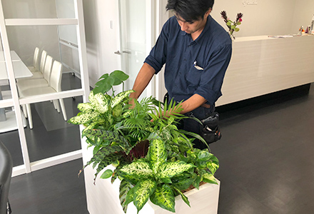 専門スタッフが植物のメンテナンスやお水やりを行います。