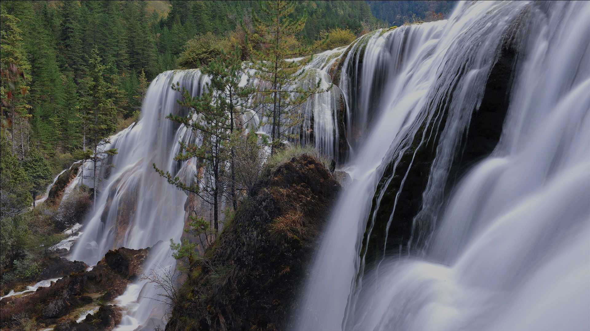 株式会社愛香園