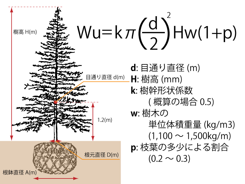 樹木の重量計算 通販 愛香園 家庭菜園 造園 観葉植物の通販 造園 樹木 植物のスペシャリスト集団